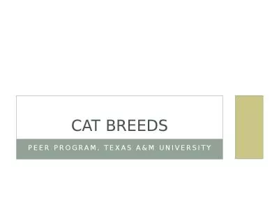 PEER Program, Texas A&M University