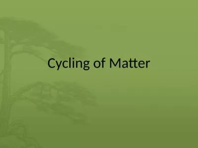 Cycling of Matter What will we learn?