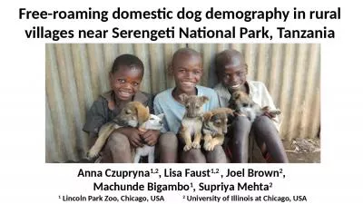 Free-roaming domestic dog demography in rural villages near Serengeti National Park, Tanzania