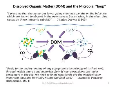 “Basic to the understanding of any ecosystem is knowledge of its food web, through which energy a