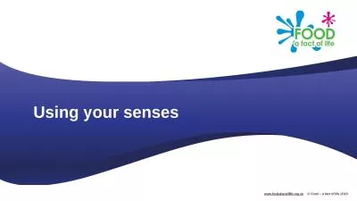 Using your  senses Which senses do we use?