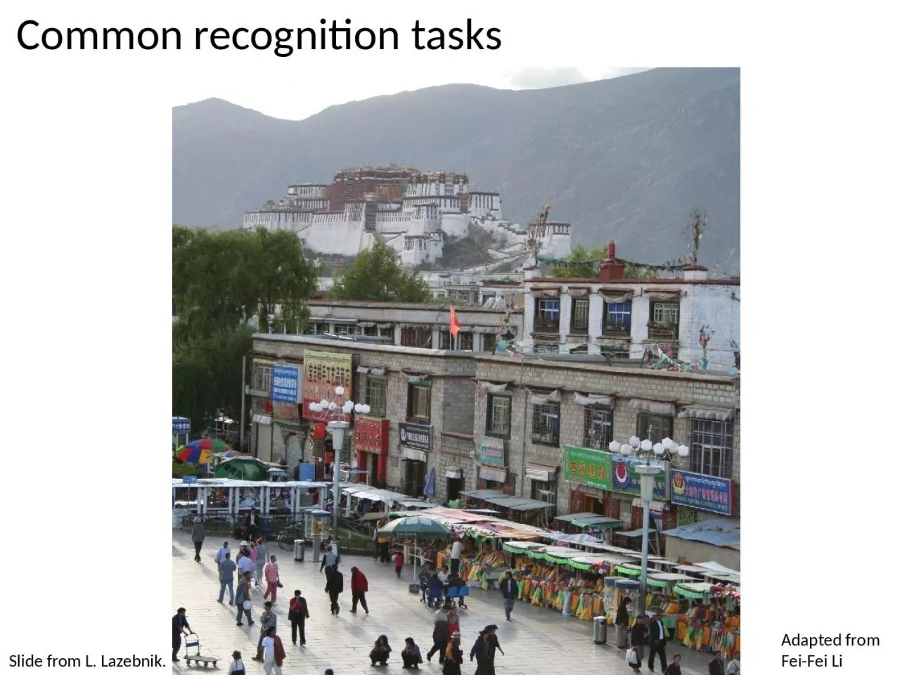 PPT-Common recognition tasks