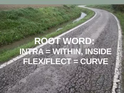 root word:  Intra = within, inside