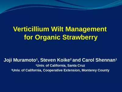 Verticillium Wilt Management