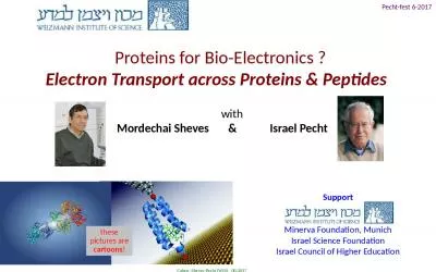 Proteins for Bio-Electronics ?