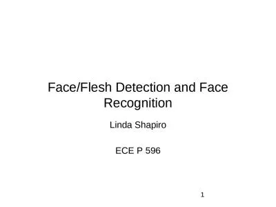 Face/Flesh Detection and Face Recognition