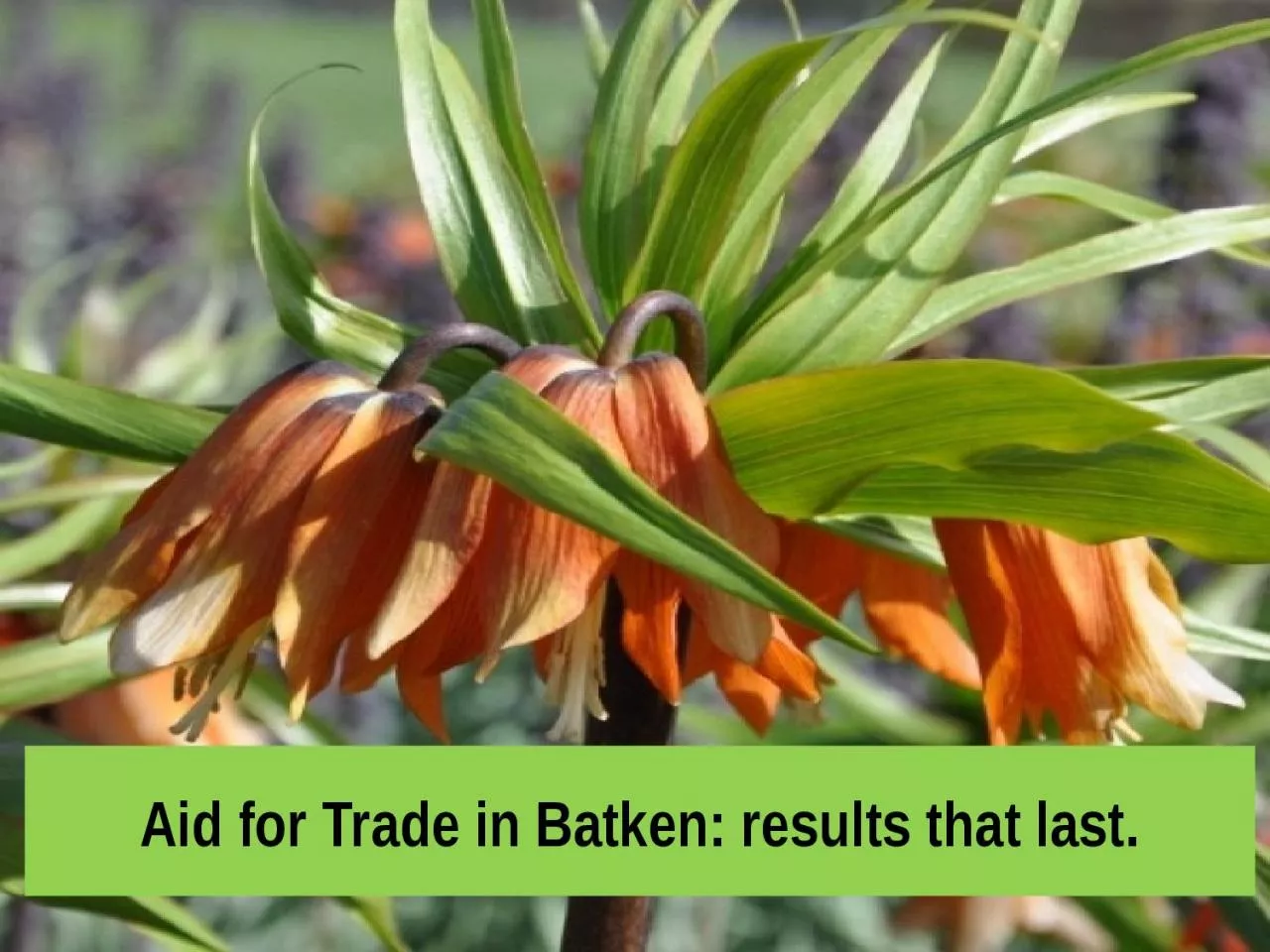 PPT-Aid for Trade in Batken