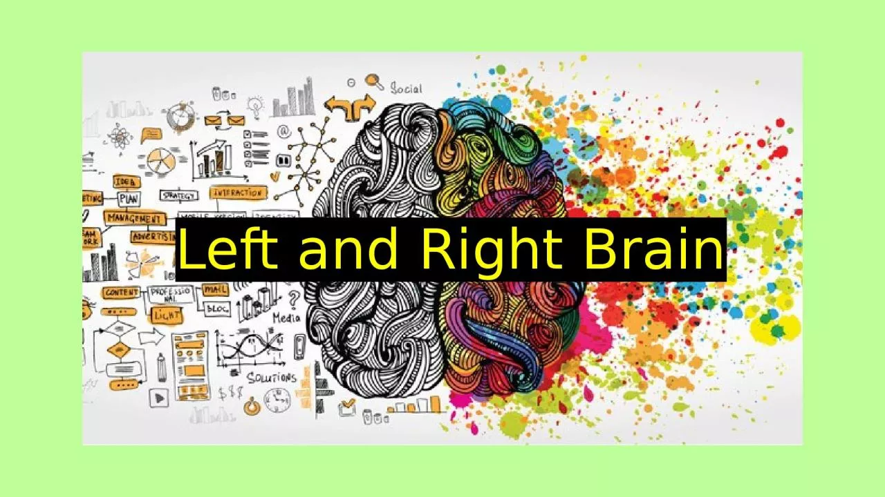 PPT-Left and Right Brain Have you ever wondered why some people seem to be natural artists