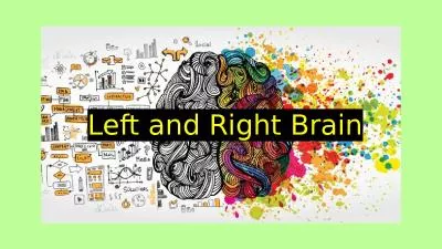 Left and Right Brain Have you ever wondered why some people seem to be natural artists