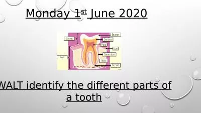 Monday 1 st  June 2020 WALT identify the different parts of a tooth