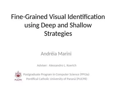 Fine-Grained Visual Identification using Deep and Shallow Strategies