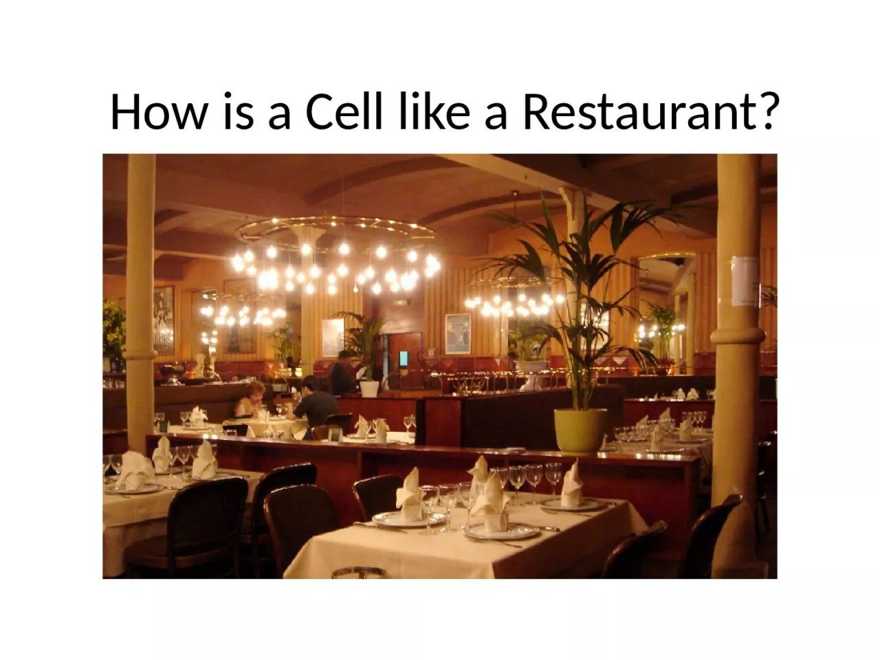 PPT-How is a Cell like a Restaurant?