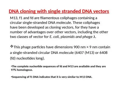 DNA cloning with single stranded DNA vectors