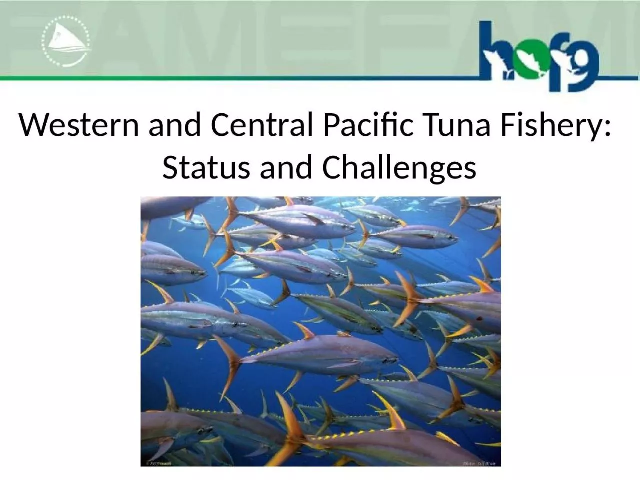 PPT-Western and Central Pacific Tuna Fishery: