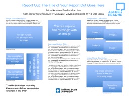 PPT-Report Out: The Title of Your Report Out Goes Here