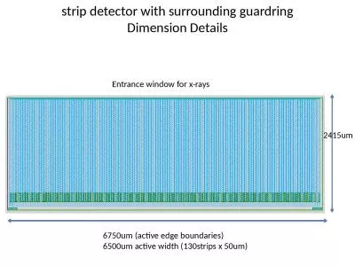 strip detector with  surrounding