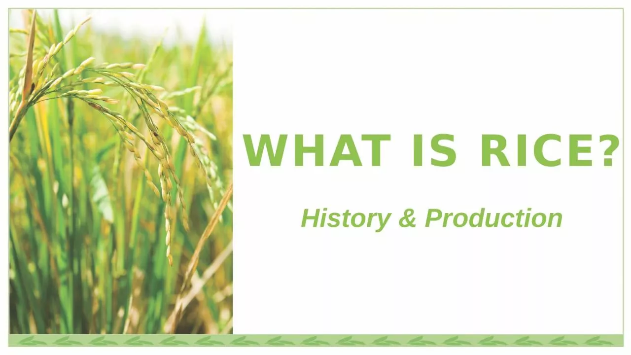 PPT-WHAT IS RICE? History & Production