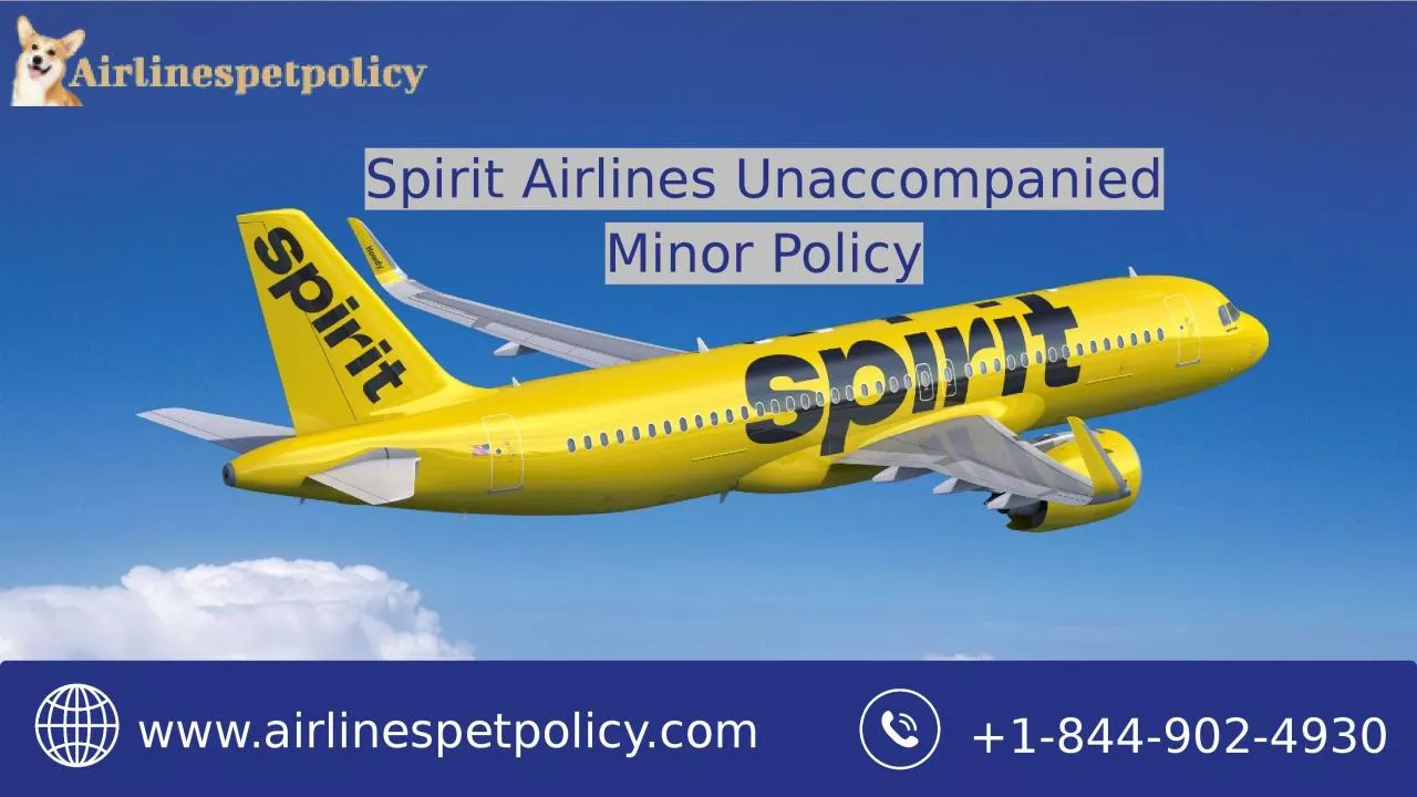 PPT-Spirit Airlines Unaccompanied Minor Policy