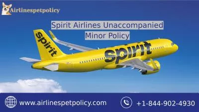 Spirit Airlines Unaccompanied Minor Policy