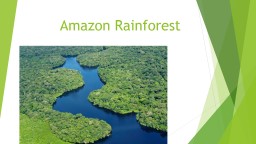 Amazon Rainforest The Amazon Rainforest