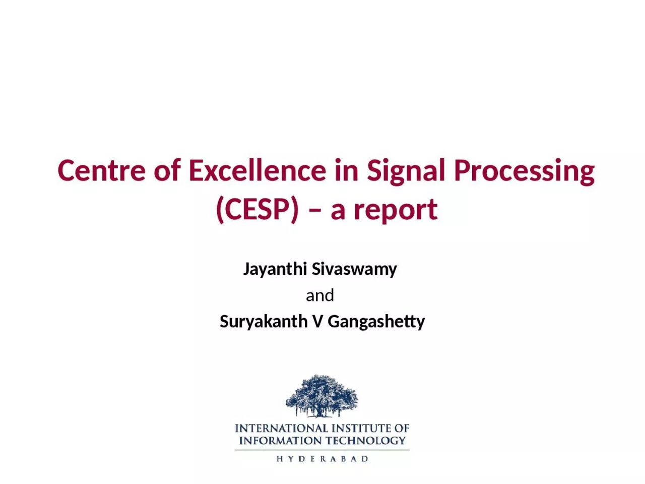 Centre of Excellence in Signal Processing (CESP) – a report