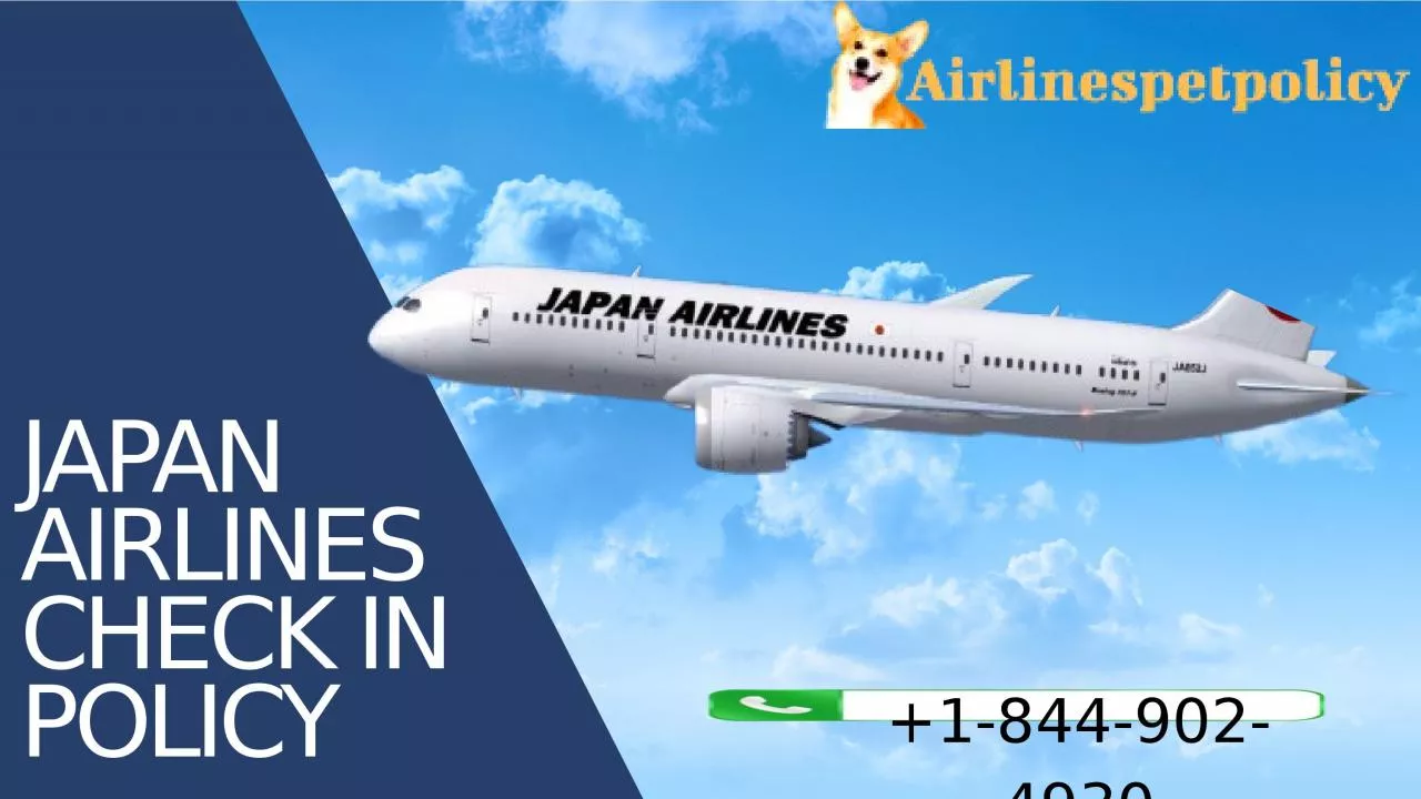 PPT-Japan Airlines Check In Policy