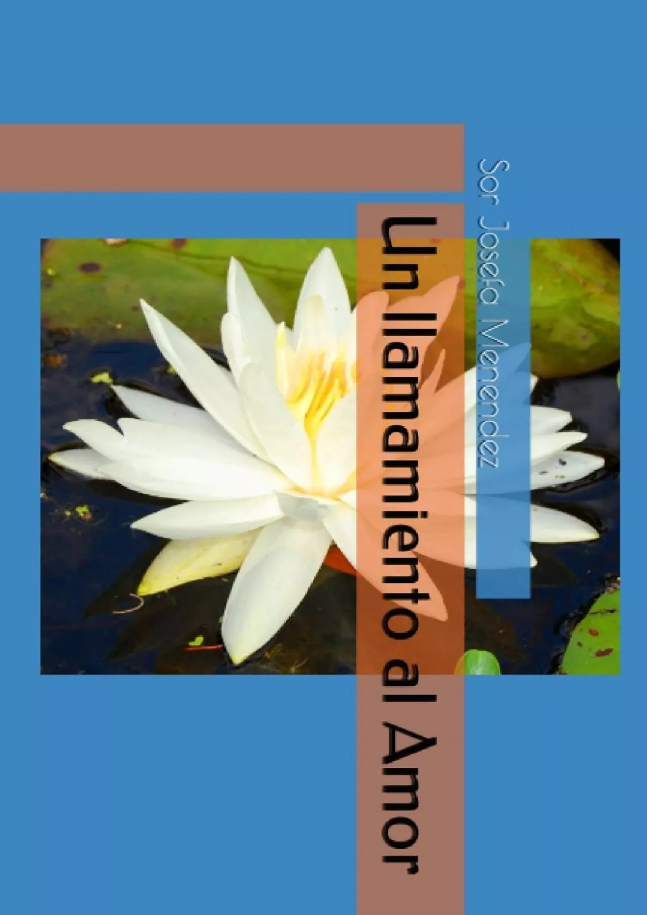 [EBOOK] Un llamamiento al Amor Spanish Edition