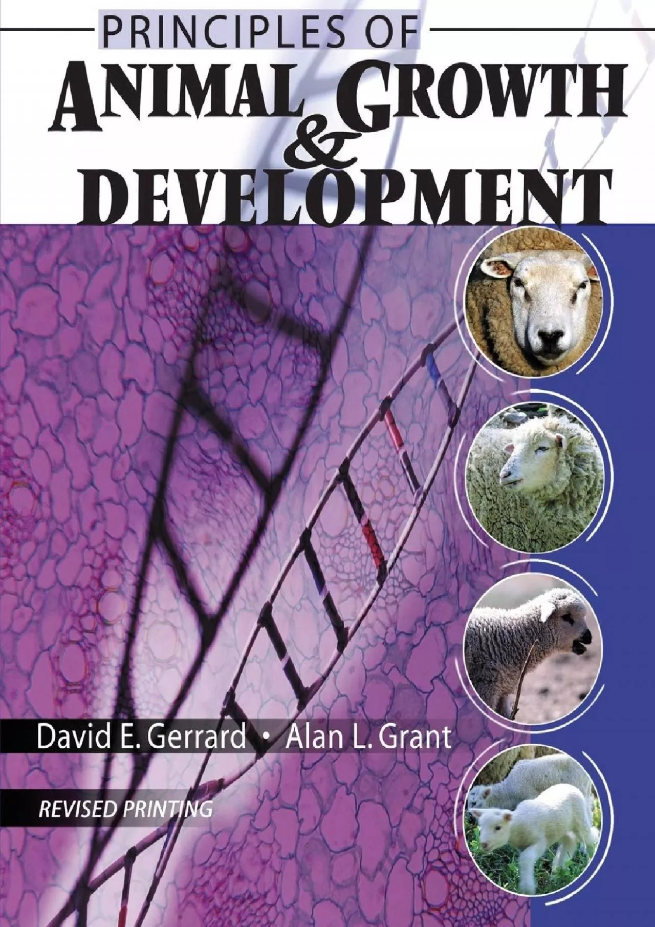 PDF-[DOWNLOAD] Principles of Animal Growth and Development