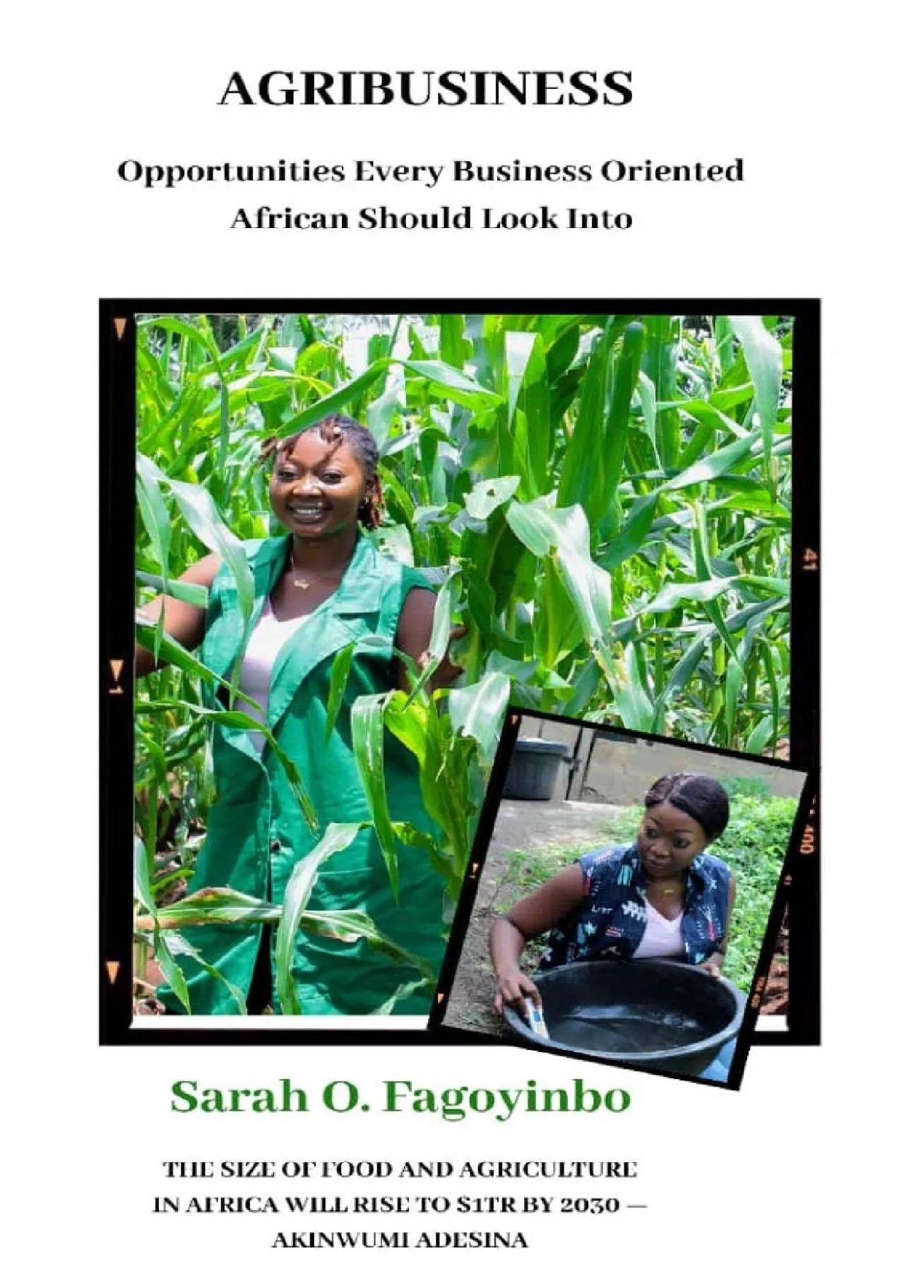 PDF-[DOWNLOAD] Agribusiness: Opportunities Every Business Oriented African Should Look Into