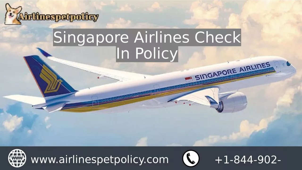 PPT-Singapore Airlines check-in policy