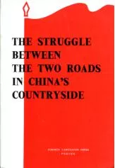 STRUGGL E BETWEE N TH TW ROAD S CHINA S COUNTRYSID E FOREIG LANGUAGE PRES S PEKIN G Quotatio