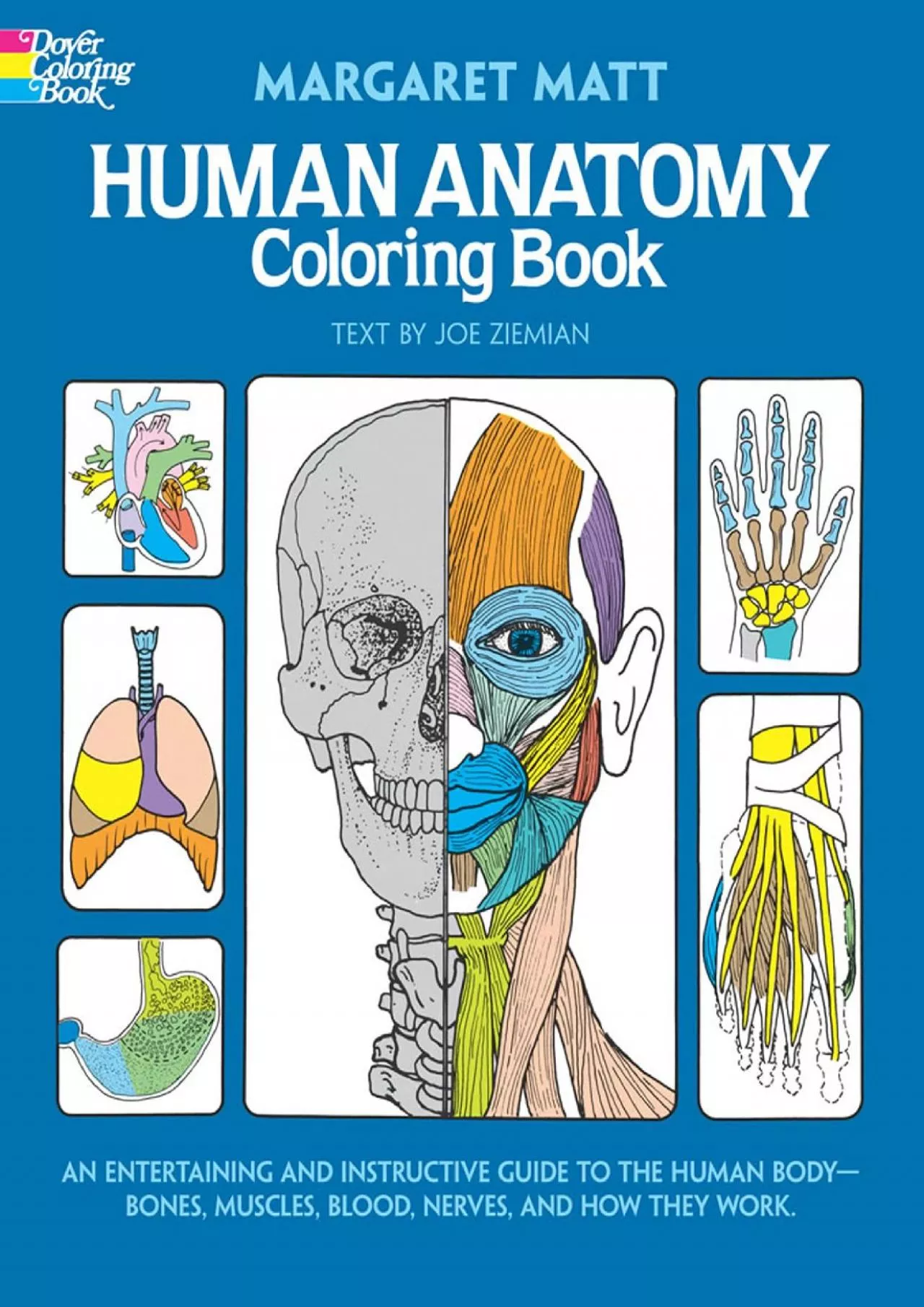 [READ] Human Anatomy Coloring Book: an Entertaining and Instructive Guide to the Human