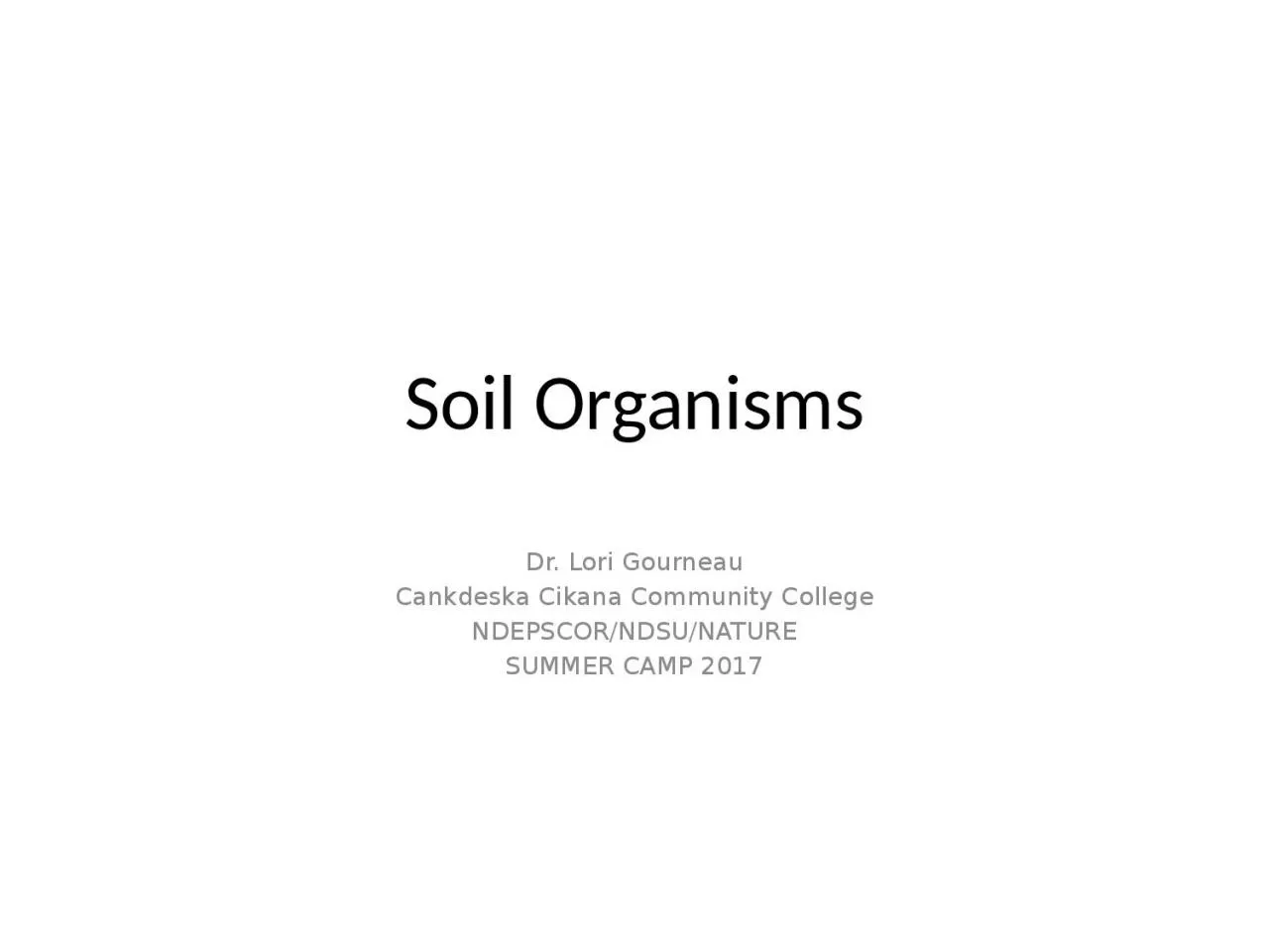 PPT-Soil Organisms Dr. Lori Gourneau