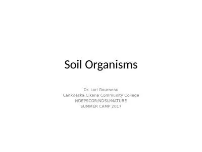 Soil Organisms Dr. Lori Gourneau