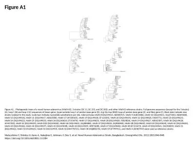 Figure A1 Figure A1. . Phylogenetic trees of a novel human adenovirus (HAdV-65), 3 strains