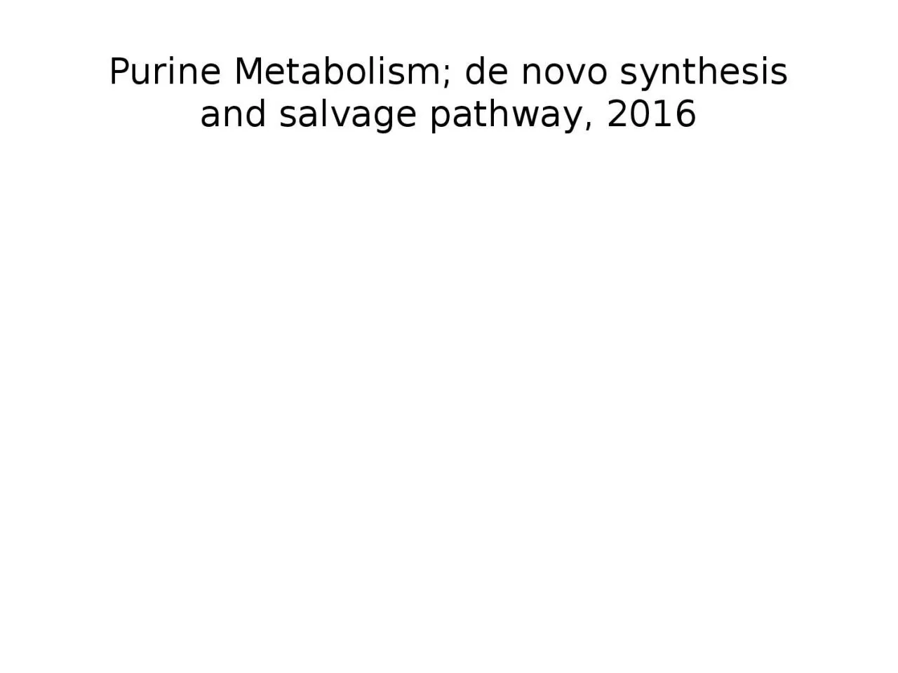 PPT-Purine Metabolism; de novo synthesis and salvage pathway, 2016