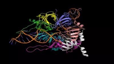 Finding splice sites With particular interest given to the inhibitory dopamine receptor