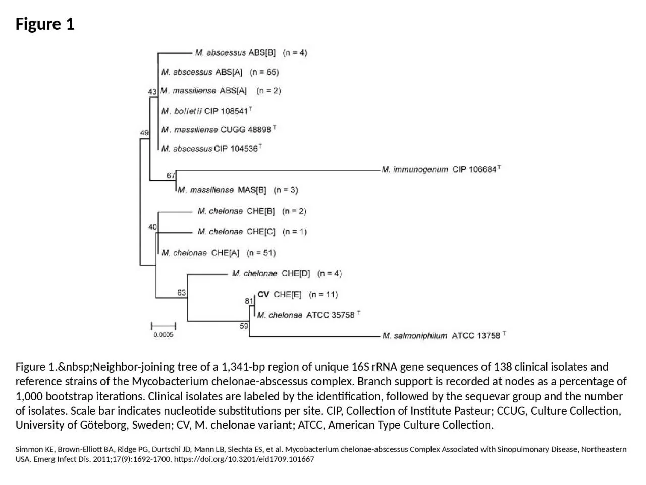 PPT-Figure 1 Figure 1.&nbsp;Neighbor-joining tree of a 1,341-bp region of unique 16S rRNA