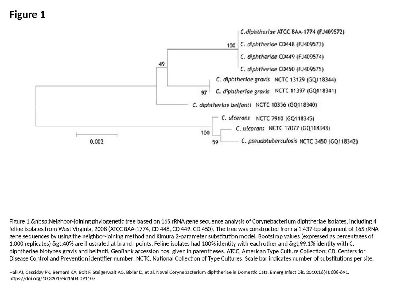 PPT-Figure 1 Figure 1.&nbsp;Neighbor-joining phylogenetic tree based on 16S rRNA gene