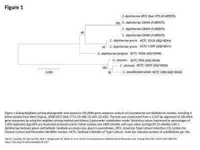 Figure 1 Figure 1.&nbsp;Neighbor-joining phylogenetic tree based on 16S rRNA gene