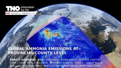 Global Ammonia Emissions at Provincial/County level