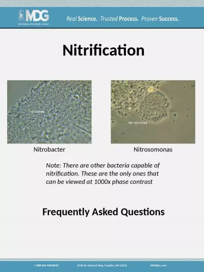 Nitrification Frequently Asked Questions