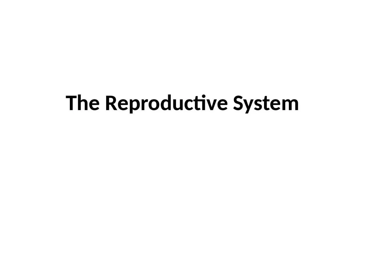 PPT-The Reproductive System Common roots related to reproductive system