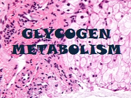 GLYCOGEN METABOLISM  GLYCOGEN