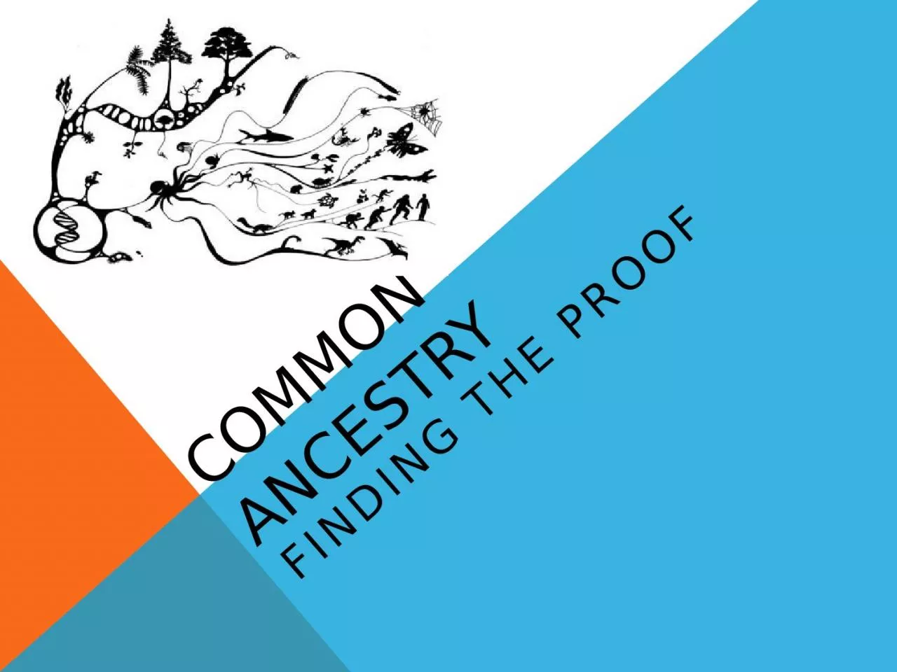 Common ancestry Finding the proof