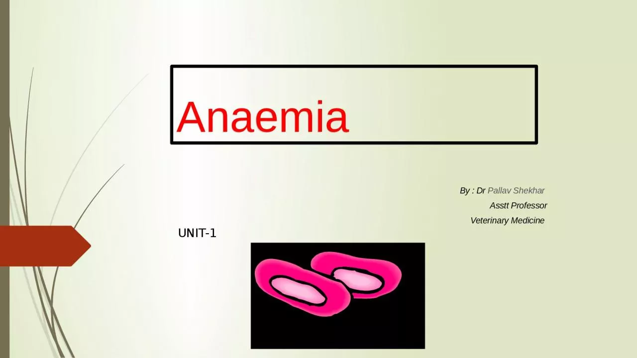 Anaemia  By : Dr  Pallav
