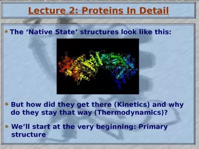 Lecture 2: Proteins In Detail