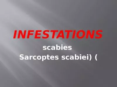 Infestations scabies  Sarcoptes