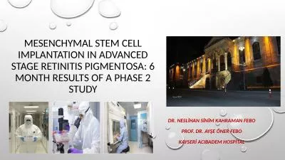 Mesenchymal stem cell  I