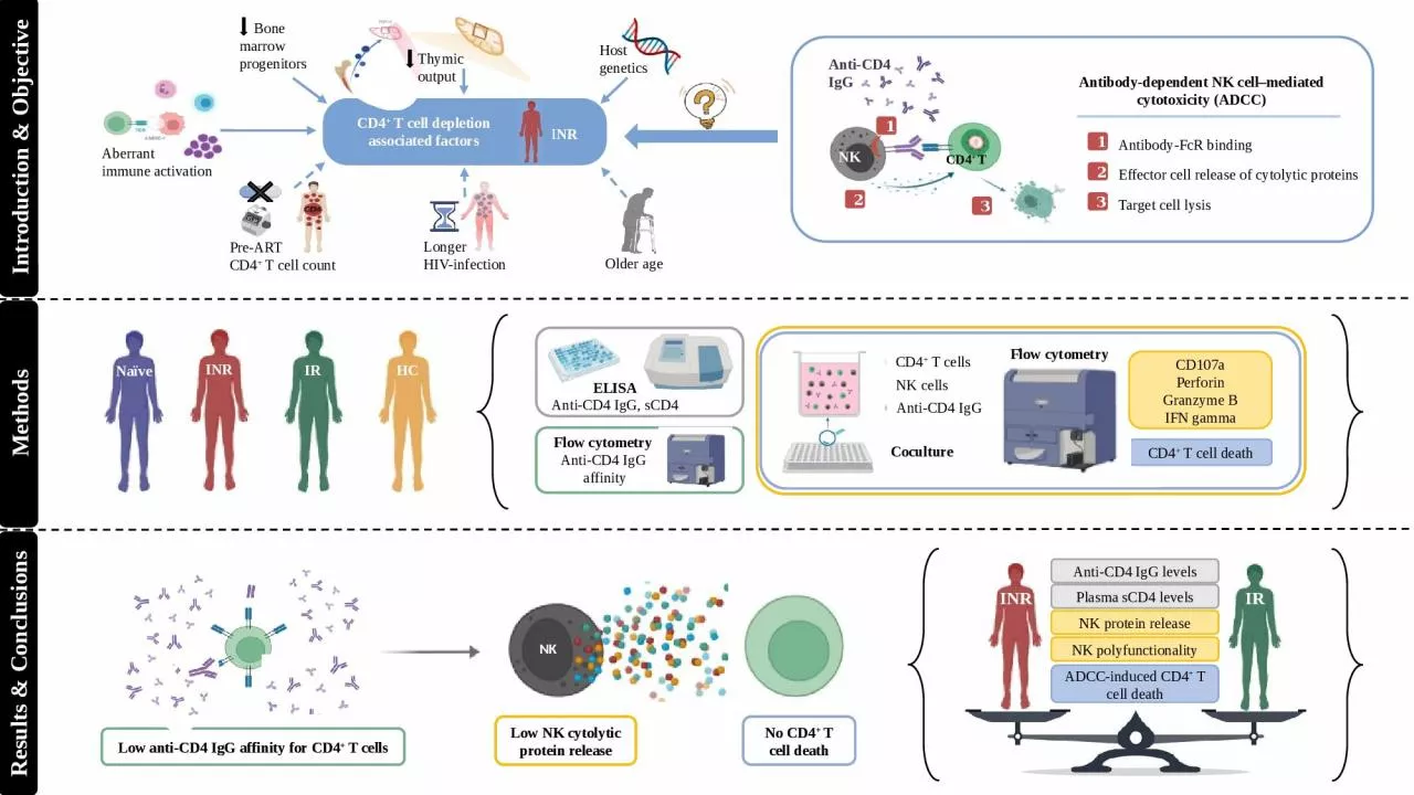 PPT-INR IR Anti-CD4 IgG levels